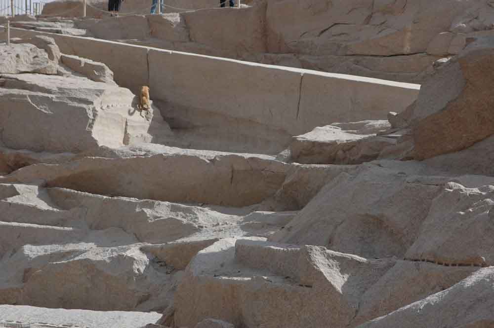 Egipto 205 - Aswan - Obelisco Inacabado.jpg